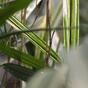 Bamboe kunstplant 70 cm
