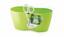 Bloempot LIMES DUBLO limoen 25cm