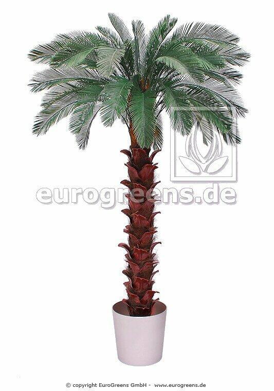 Cycas kunstpalm 300 cm