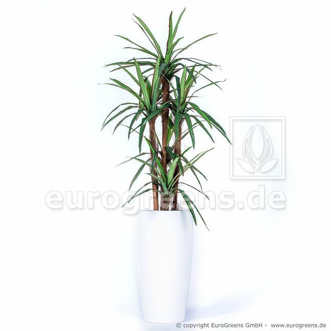 Dracena kunstplant bekleed met 140 cm