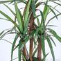Dracena kunstplant bekleed met 140 cm