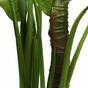 Kunst Colocasia boom bloeiend 140 cm