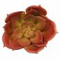 Kunst succulent rood 11 cm