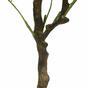 Kunst Wilgenboom 120 cm