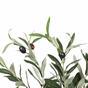 Kunstboom Olijfboom 120 cm