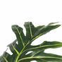 Kunstboom Philodendron 140 cm