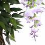 Kunstboom Wisteria paars 150 cm