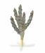 Kunstcactus Tetragonus Bruin 35 cm