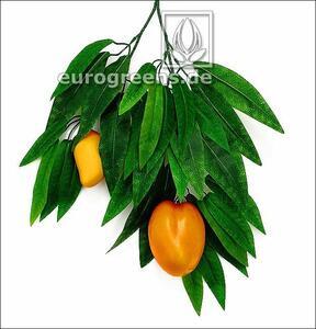 Kunstmatige tak van mango met fruit