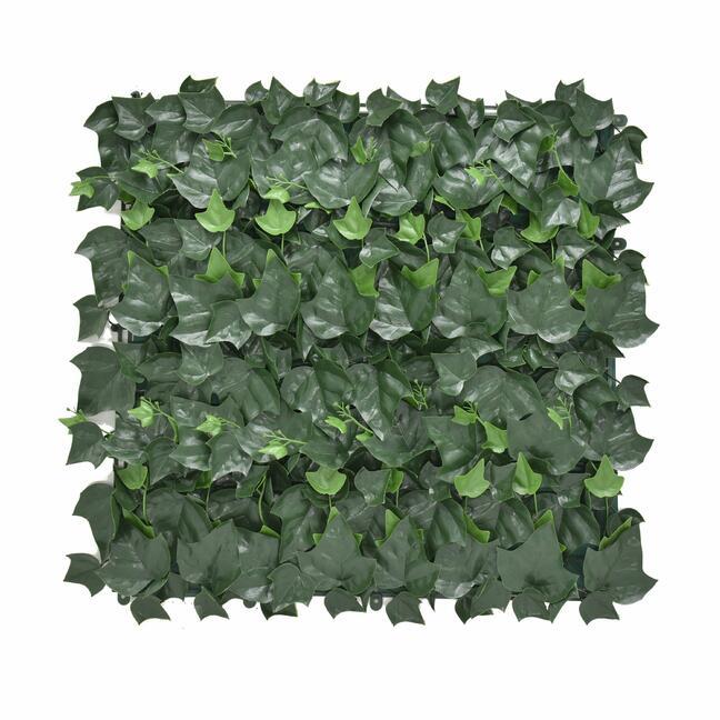 Kunstpaneel Ivy - 50x50 cm