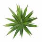 Kunstplant Agave groen 20 cm