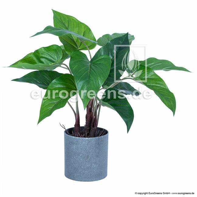 Kunstplant Anthurium 40 cm