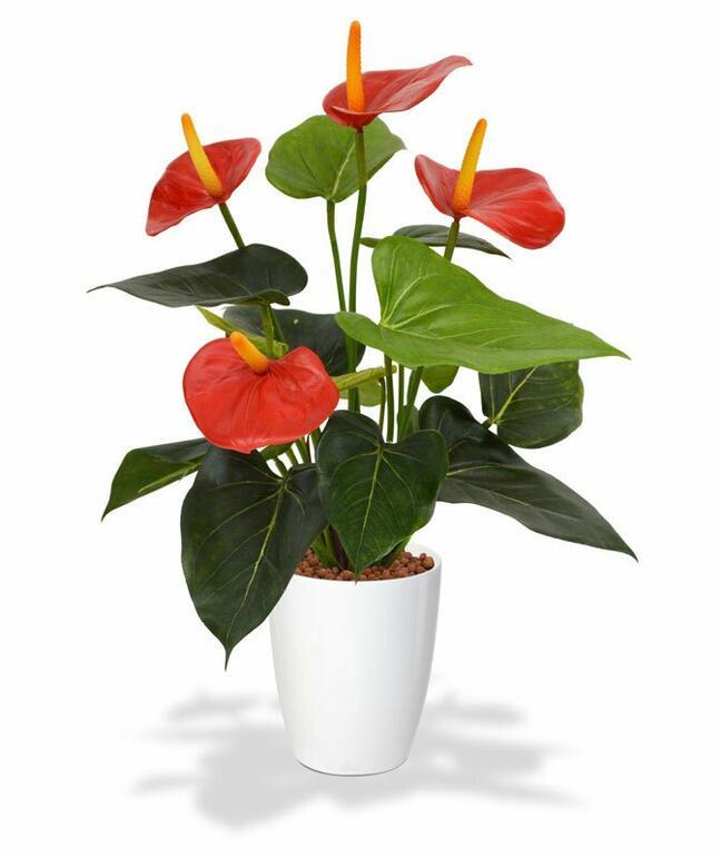 Kunstplant Anthurium rood 40 cm