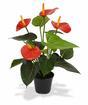 Kunstplant Anthurium rood 40 cm