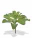 Kunstplant Eševéria 20 cm