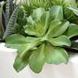 Kunstplant Eševéria 20 cm