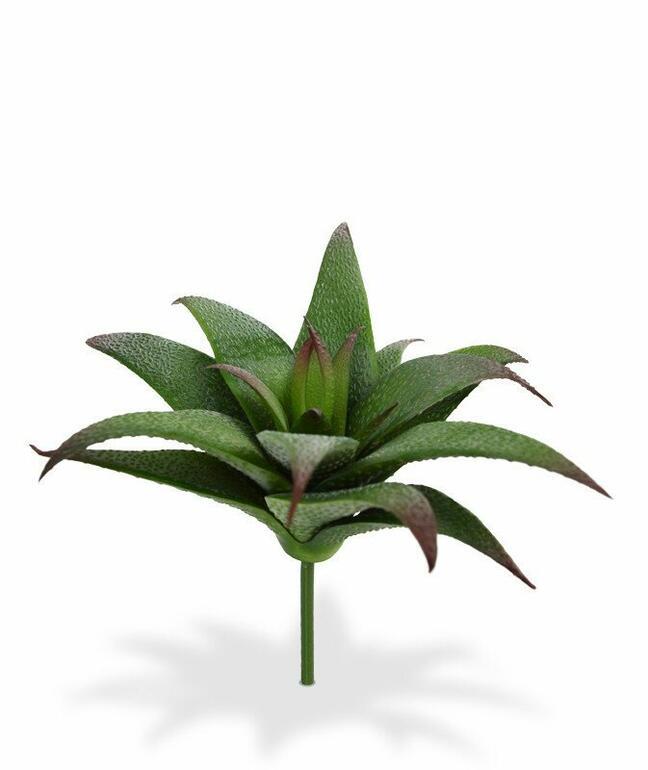 Kunstplant Haworthia 13 cm