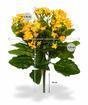 Kunstplant Kalanchoa oranje 30 cm