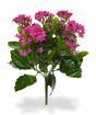 Kunstplant Kalanchoa roze 30 cm
