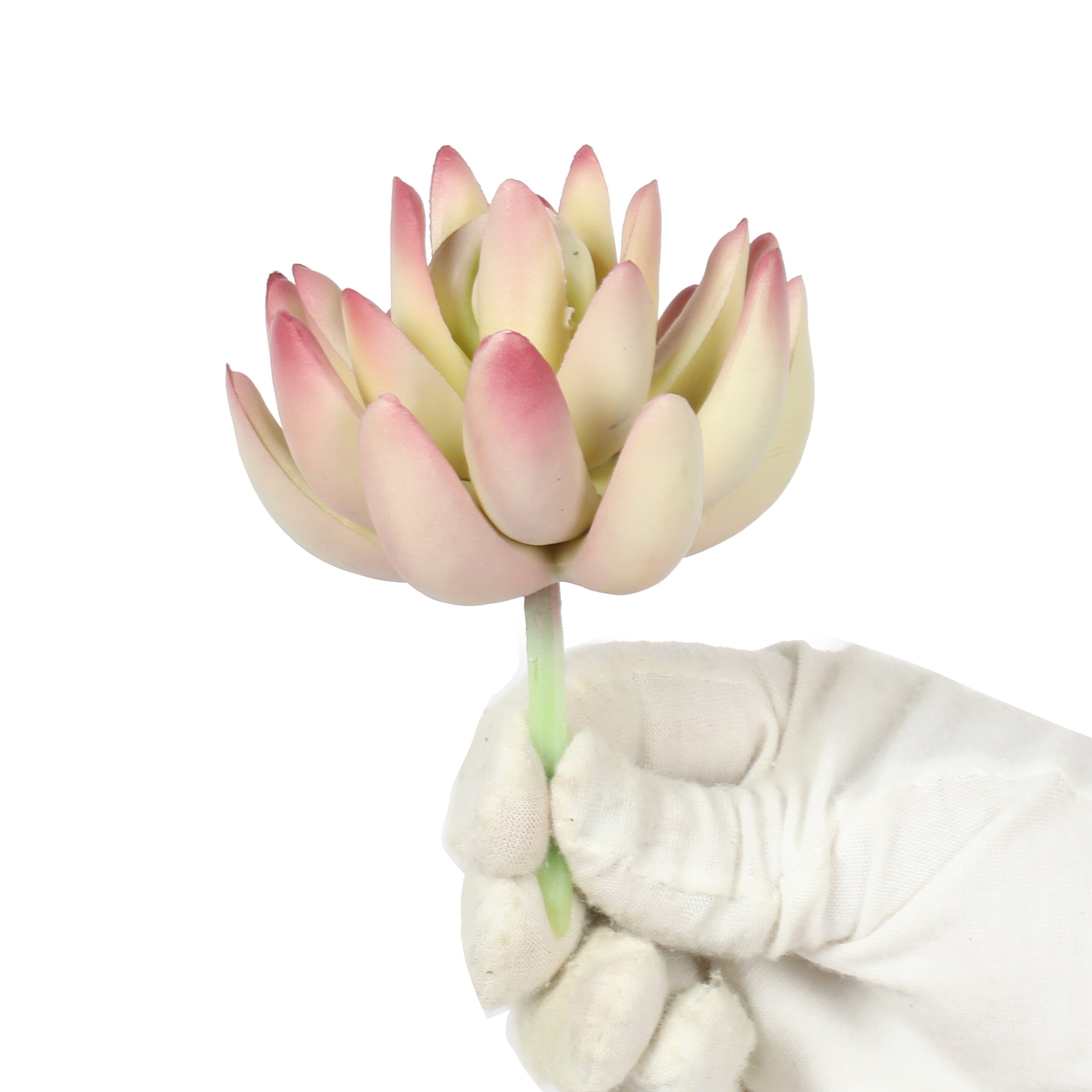 Kunstplant Lotus Echeveria 10 cm