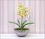 Kunstplant Orchidea Cymbidium lichtgroen 50 cm
