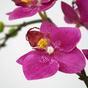 Kunstplant Orchidee paars 50 cm
