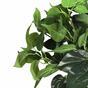Kunstplant Philodendron Cordatum 45 cm