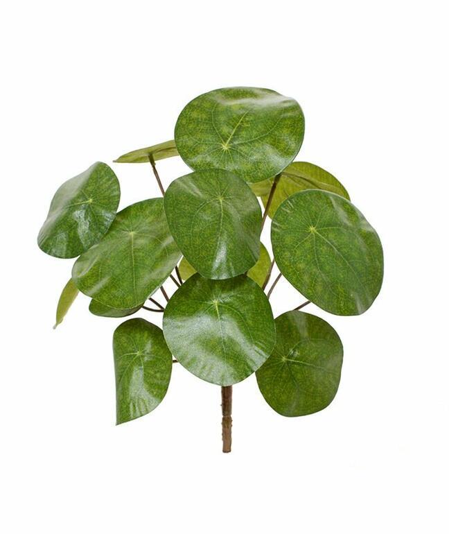 Kunstplant Pilea peperomioides 20 cm