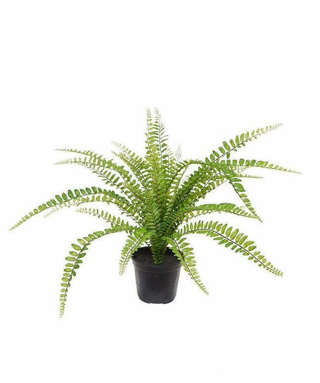 Kunstplant Spleenwort 45 cm