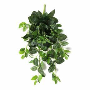 Kunstrank Fitónia groen 80 cm