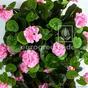 Kunstrank Geranium roze 70 cm