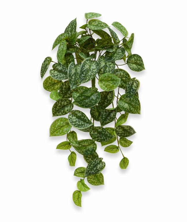 Kunstrank Potosovec 60 cm