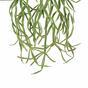 Kunstrank Rhipsalis paradoxa 86 cm