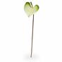 Kunsttak Anthurium groen-wit 50 cm