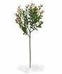 Kunsttak Buxus 45 cm