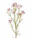 Kunsttak Chamelaucium uncinatum roze 65 cm