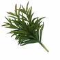 Kunsttak Dianthus groen 17,5 cm
