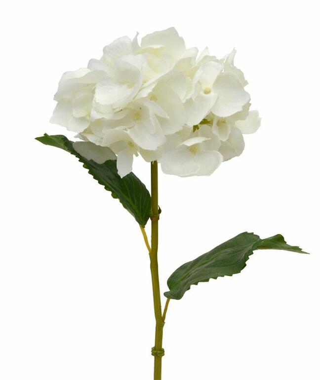 Kunsttak Hortensia crème 45 cm