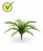 Kunstvaren Alsofila 60 cm