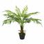 Kunstvaren Cyathea 90 cm
