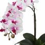 Orchidee kunst 43 cm