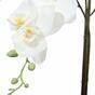 Orchidee kunst wit 65 cm