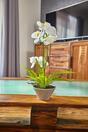 Orchidee kunst wit met varen 43 cm