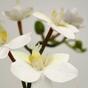 Orchidee kunsttak wit 60 cm