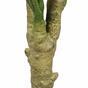 Philodendron kunst 180 cm