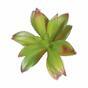 Succulent kunstplant Aeonium Arboreum 14 cm